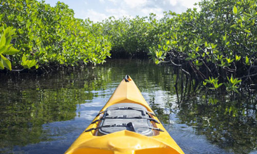 Explore the Natural Wonder of Myrtle Beach